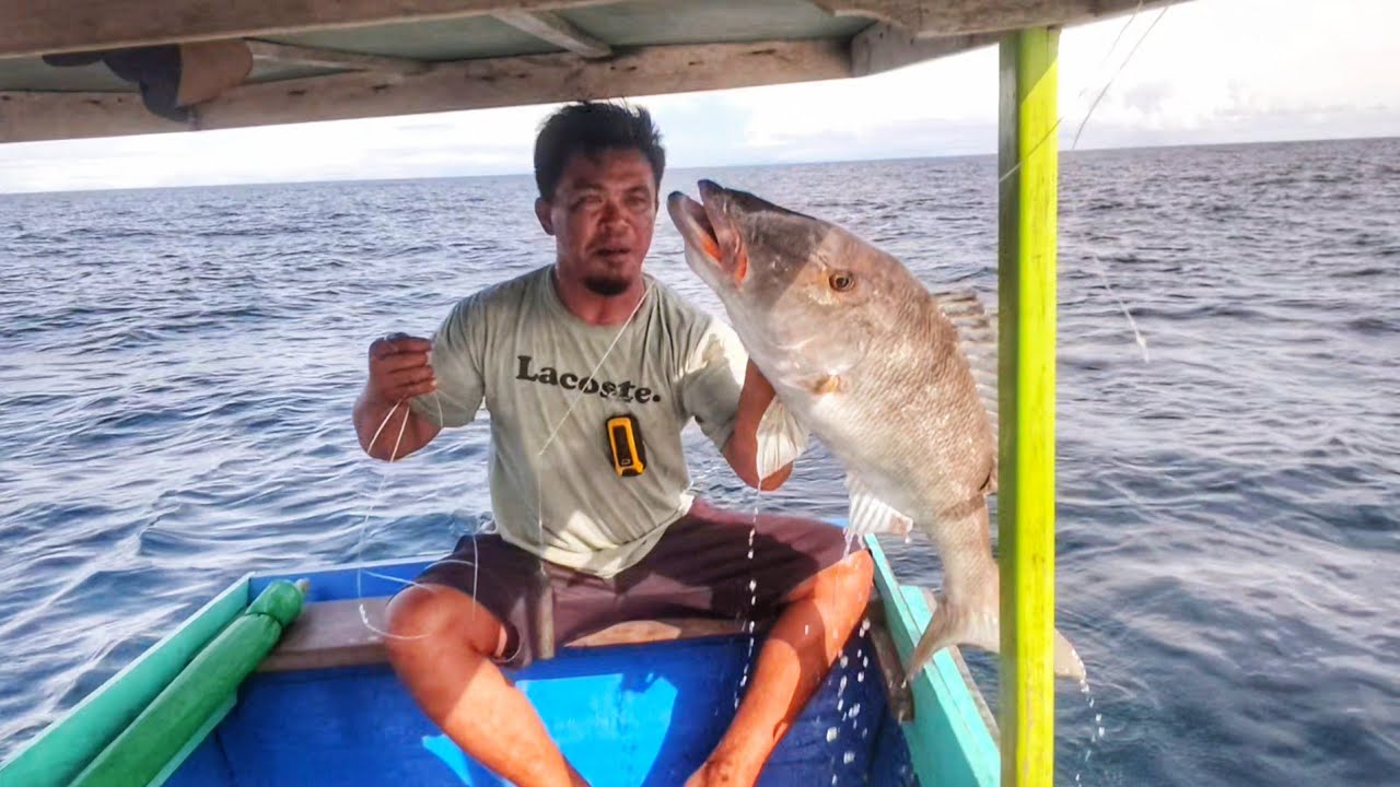 STRIKE KEDUA DAPAT SAMBARAN IKAN KETAMBAK USU BABON
