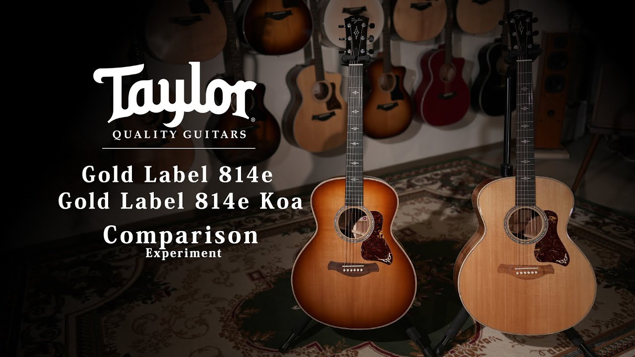 Taylor Gold Label 814e & Gold Label 814e Koa Comparison / MION experiment