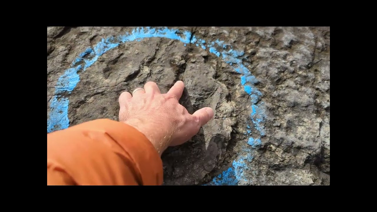 Culpeper Quarry: Triassic dinosaur footprints in rift basin sediments
