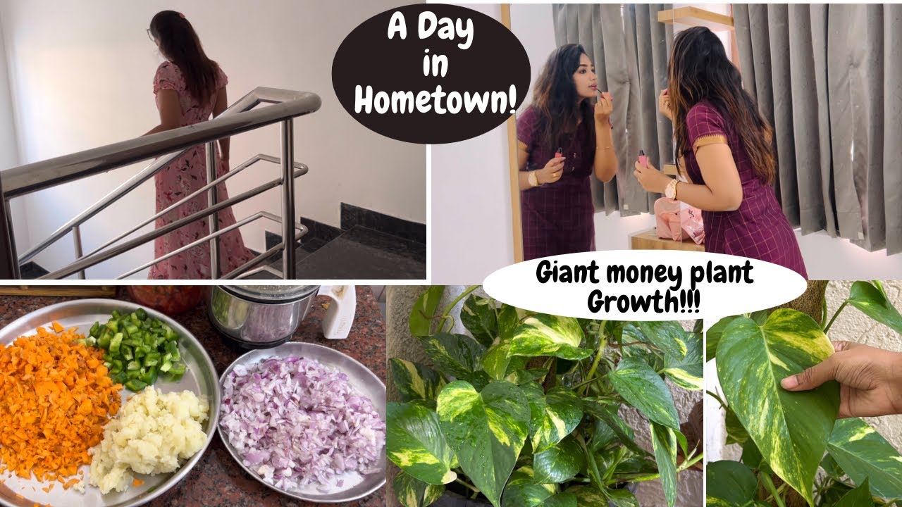 வேகமாக கடந்த இரண்டு நாட்கள்✨|| HOMETOWN VLOG!!!🌱 || Giant money plant Growth✨