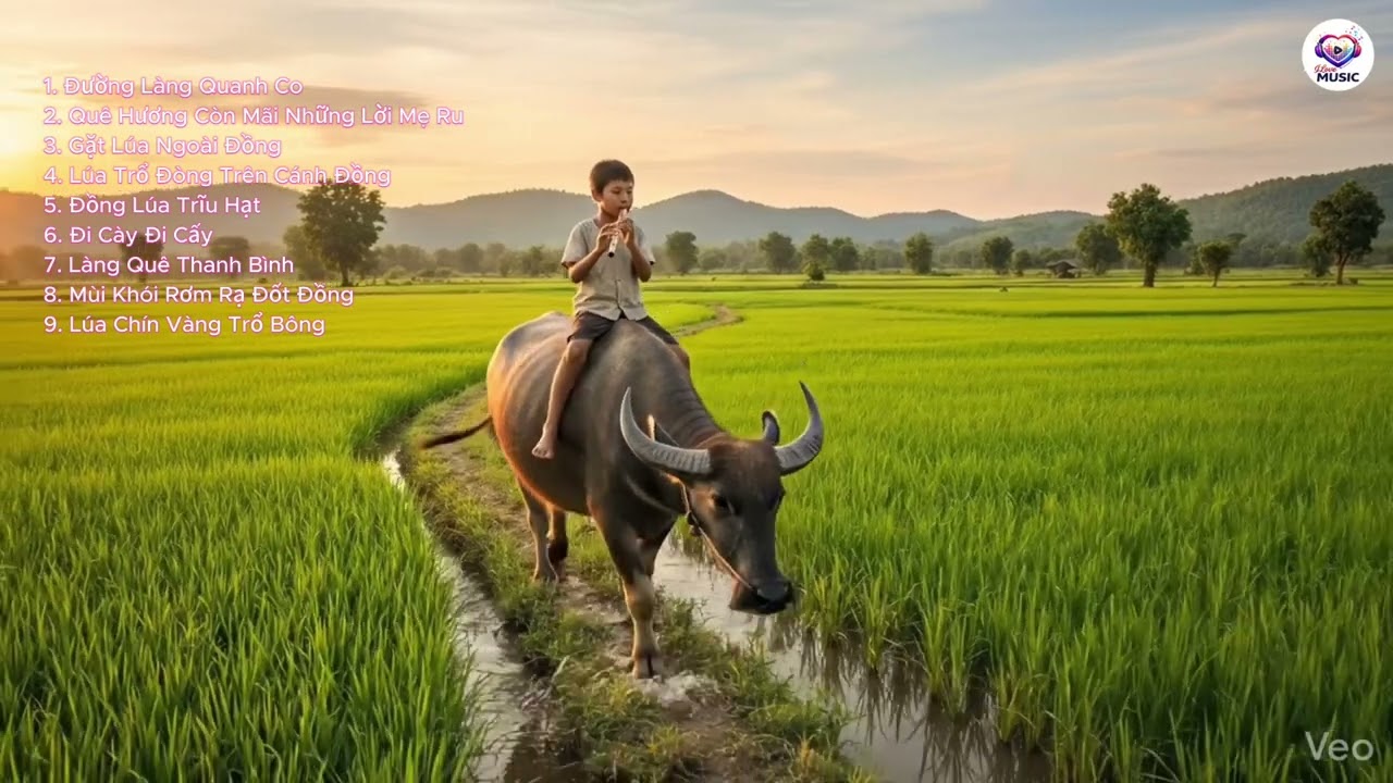 Sáo Trúc Miền Bắc - Cậu Bé Chăn Trâu, Ruộng Đồng và Làng Quê Bình Yên | Bamboo Flute Music