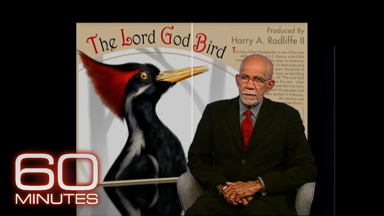60 Minutes Archive: The Lord God Bird
