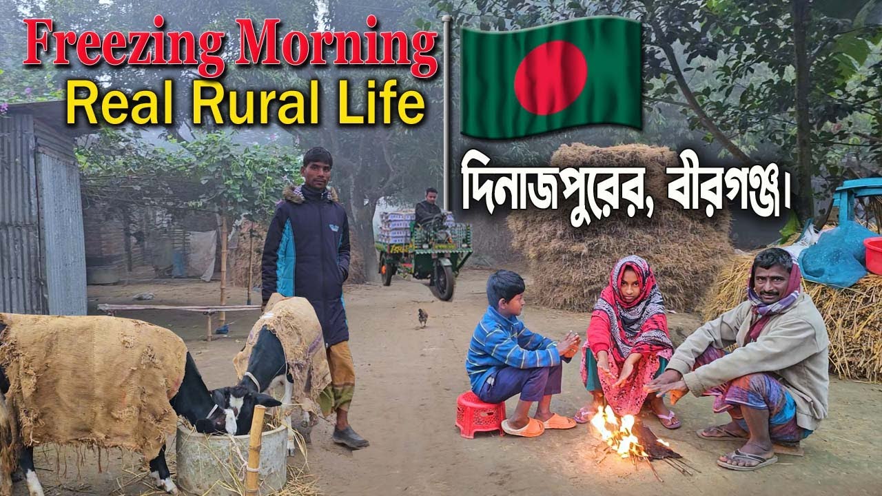 Cold Winter Morning in a Bangladeshi Village | Real Rural Life, No Music