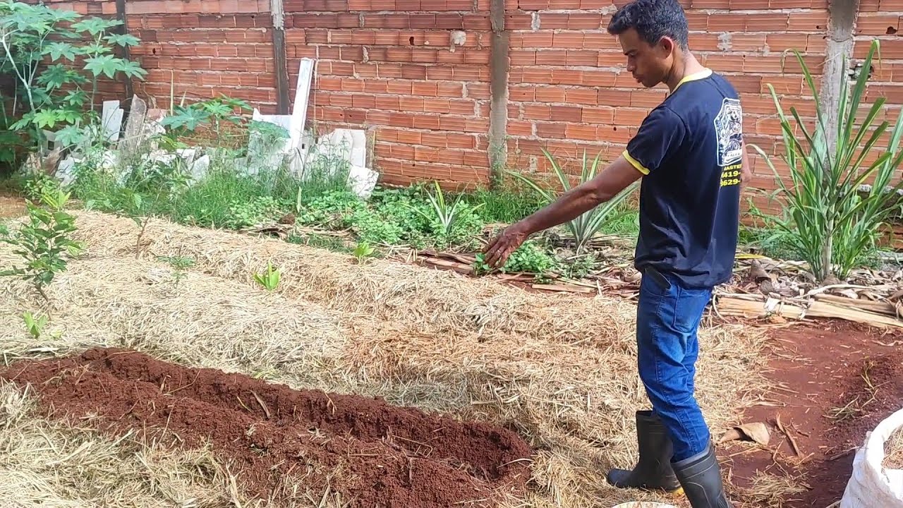 Alimentando o Canteiro vivo 
