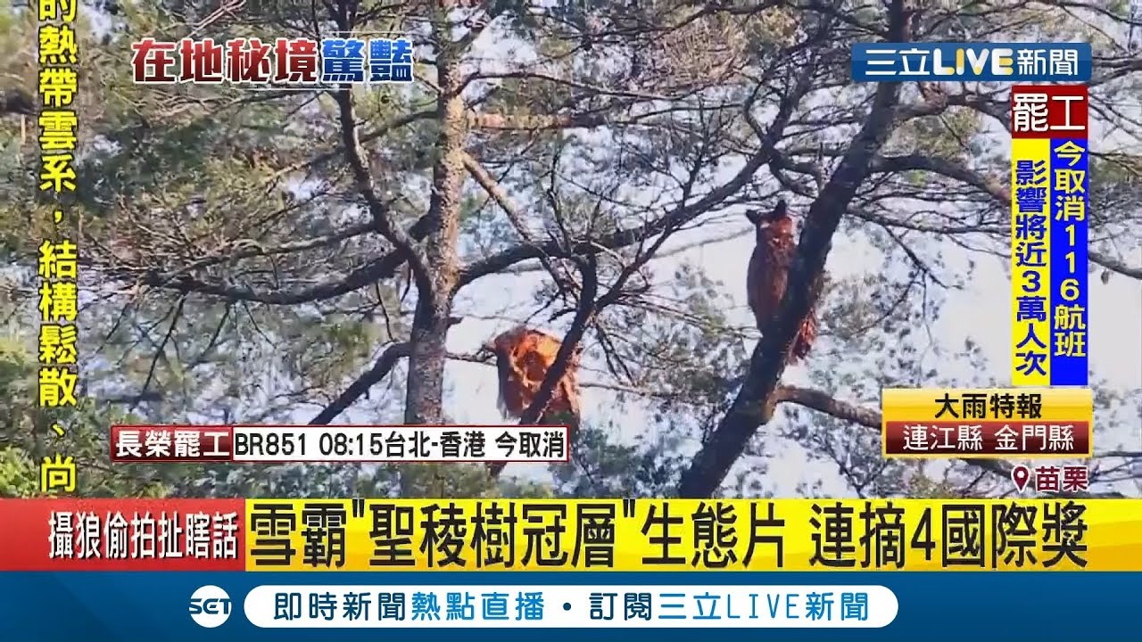 揭