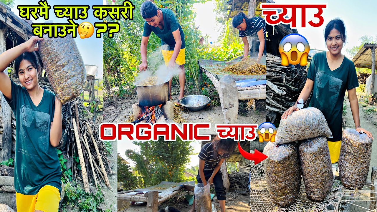 घरमै अर्गानिक च्याउ बनाउदै😱||ORGANIC च्याउ😳||Sanjana❤️Tharu||vlog🥀