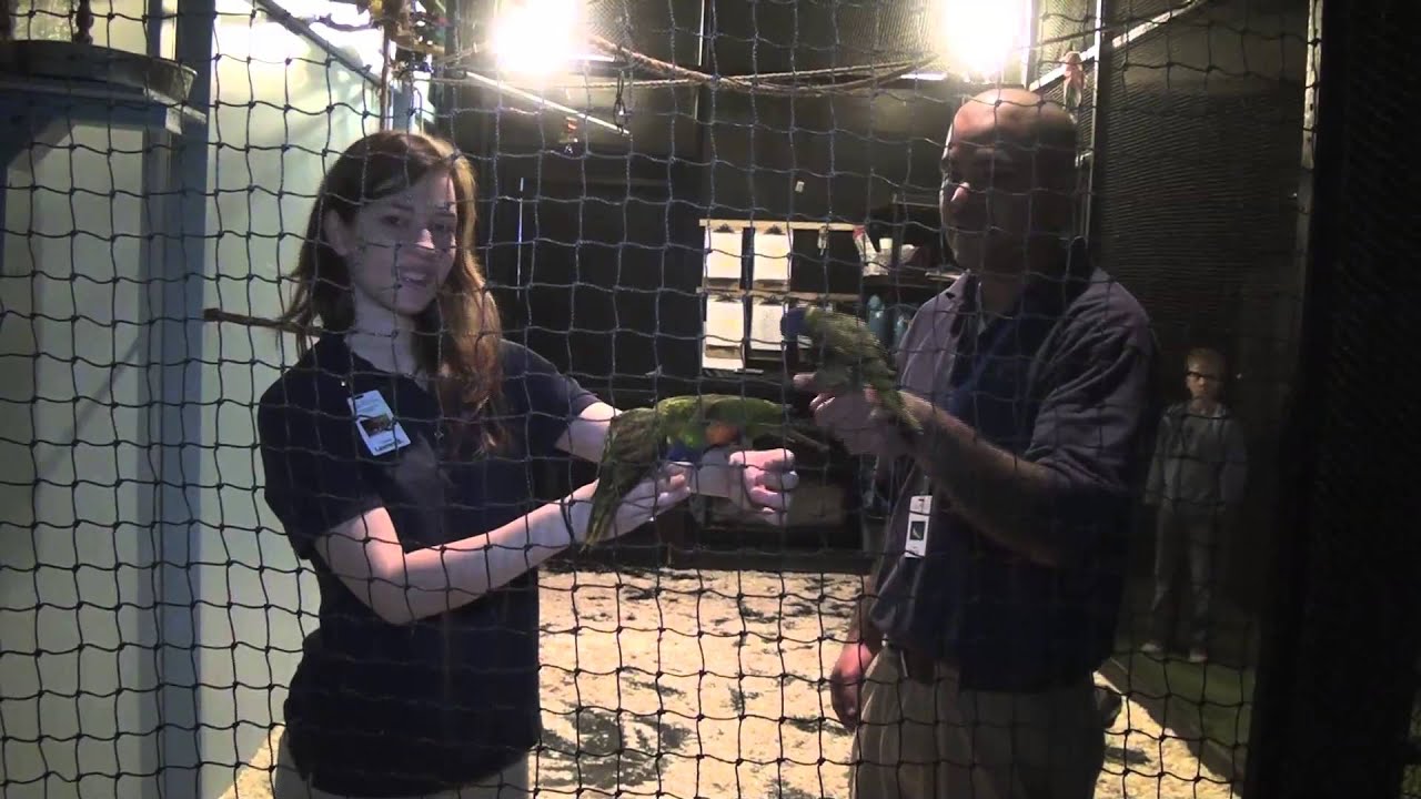 Austin Aquarium Music Video by JPTV