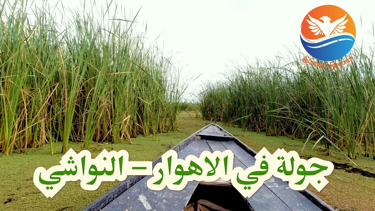 اهوار سوق الشيوخ منطقة النواشي - جولة استطلاعية