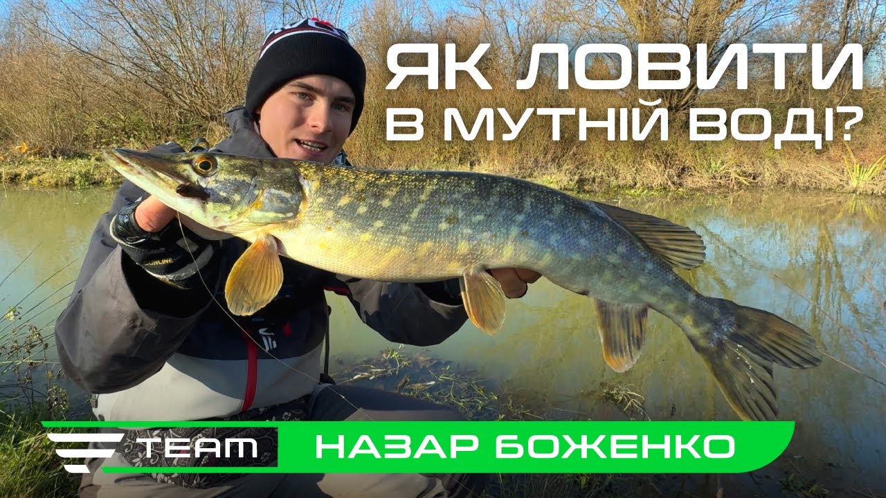 Ловля хижої риби в мутній воді: техніки та приманки, що працюють!