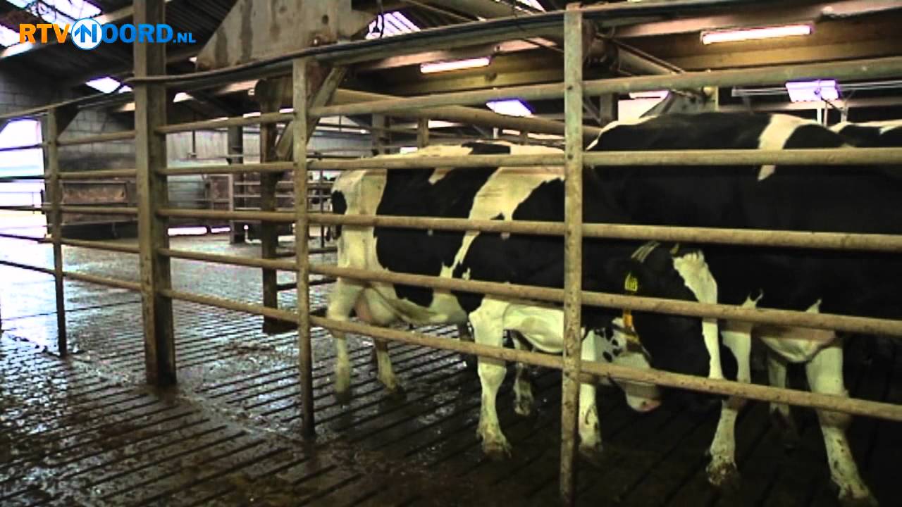 Vlagtwedde spreekt zich uit over megastal