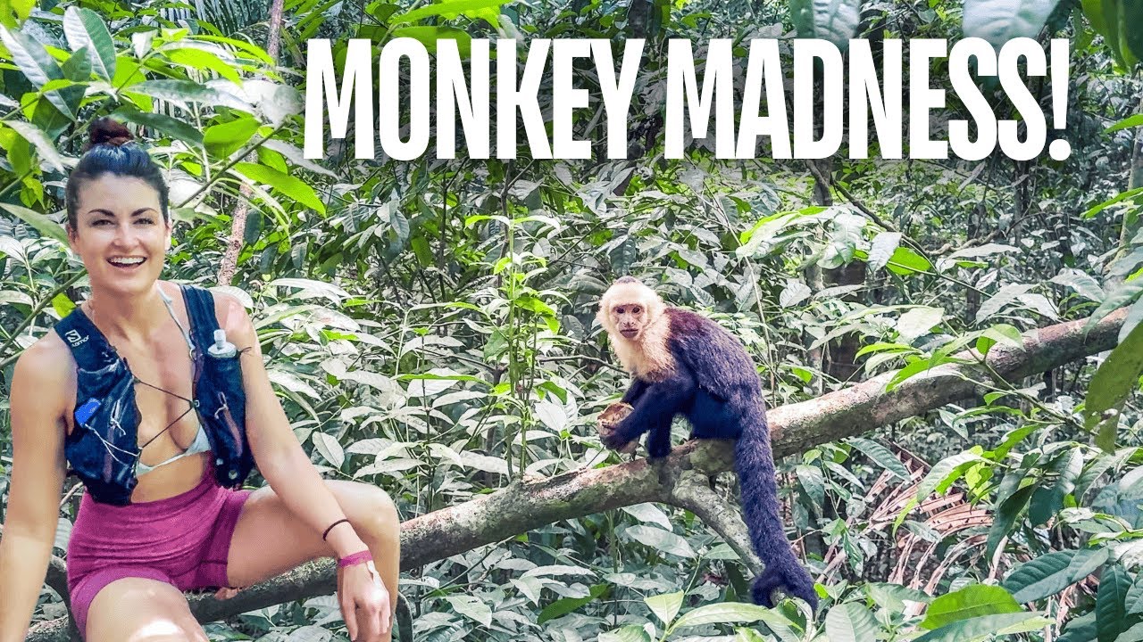 The National Park You Must Visit Before You Die: Manuel Antonio, Costa Rica