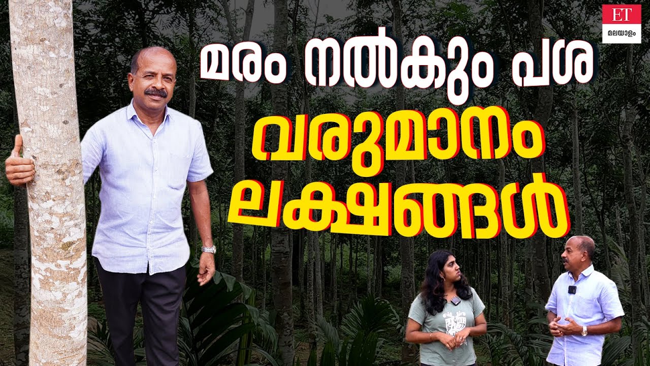Pongalyam Gum: മരത്തിലെ പശയിൽനിന്ന് ലക്ഷങ്ങൾ സമ്പാദിക്കുന്ന കർഷകൻ