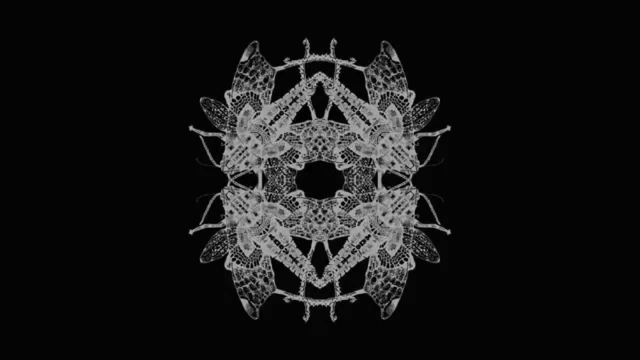 Pfirter - Message 1