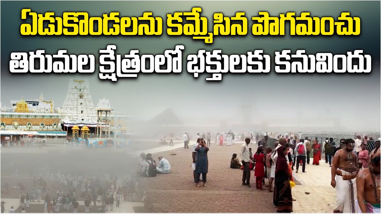 Tirumala In Dense Blanket of FOG Due to Persistent Rains, Devotees Enjoying Unique Beauty of Hills