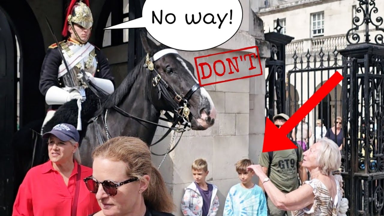 The Guard immediately controls the horse to prevent the Lady from touching the horse!