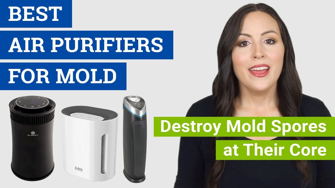 Best Air Purifier for Mold and Mildew (2021 Reviews & Buying Guide) Top Air Cleaners for Mold