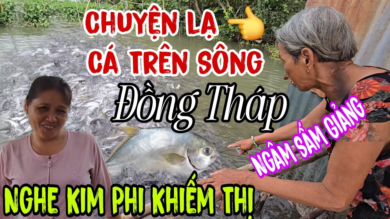 Chuyện lạ hàng 100 Tấn Cá Trên Sông 👉 Kéo về Nghe Sấm Giảng ( Cô gái Khiếm Thị Kim Phi Ngâm | Châu