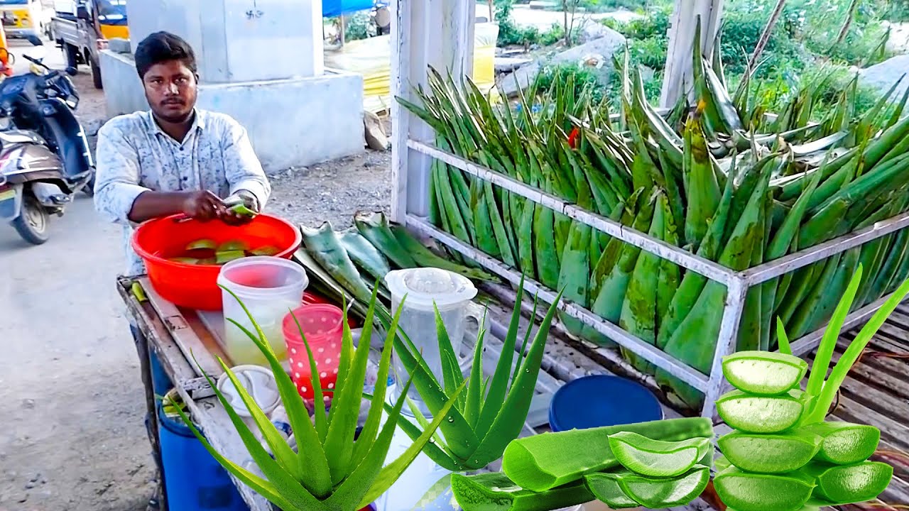 Aloe Vera Juice | Unique & Healthy Summer Drink | Indian Street Food