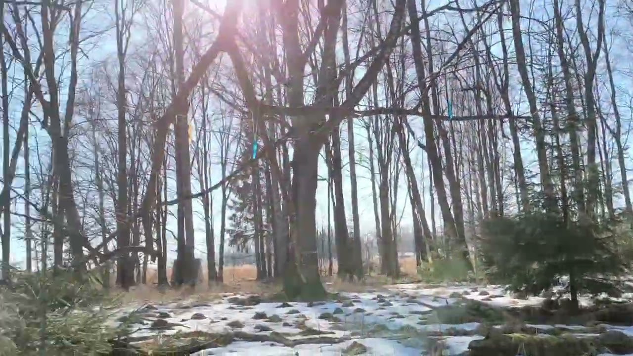 Jogas sala Ludzas ezerā
