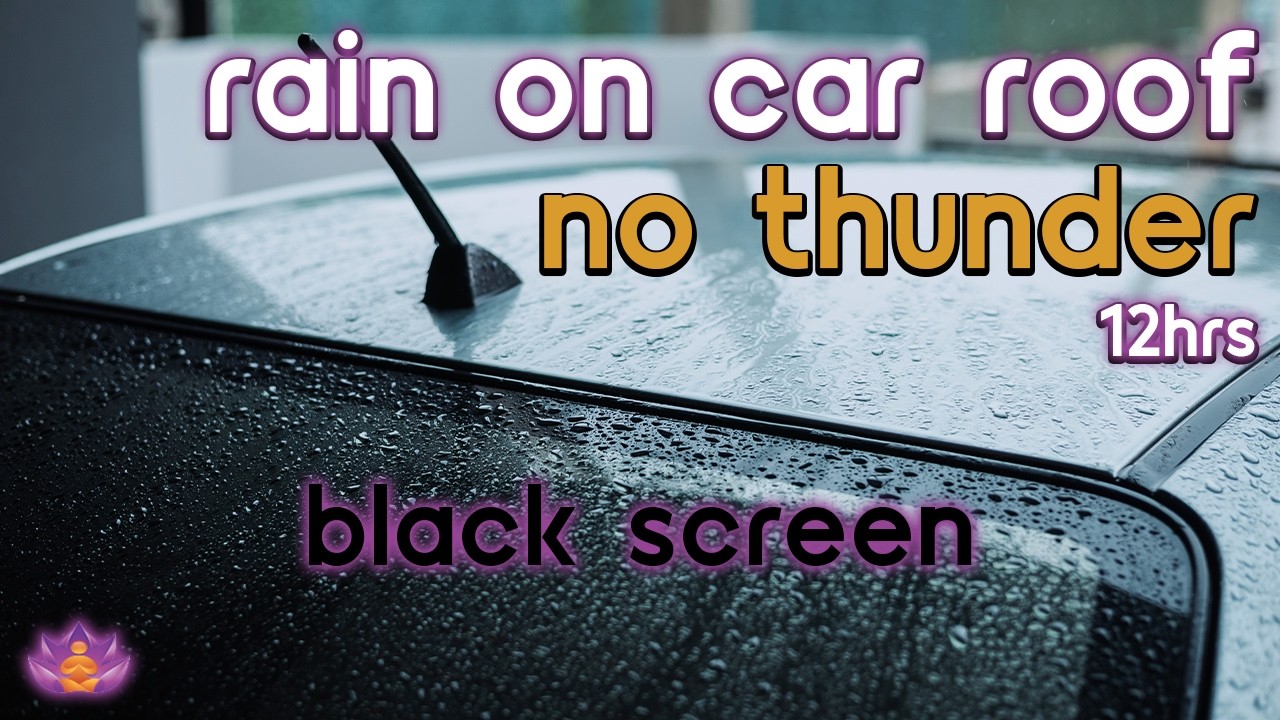 [Black Screen] Drifting Off in Parked Car | Rain on Car Roof – No Thunder | Sleep Rain Sounds
