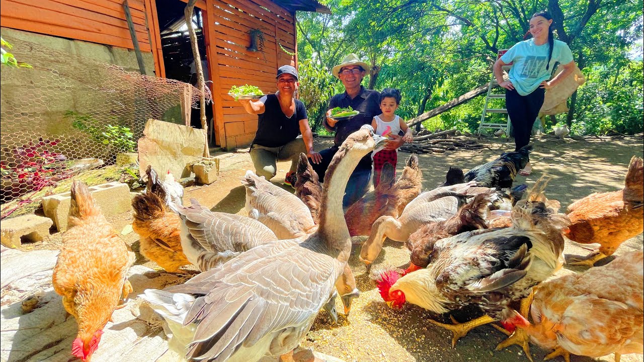 COCINANDO con familiares y amigos en un CAMPO de la VEGA RD