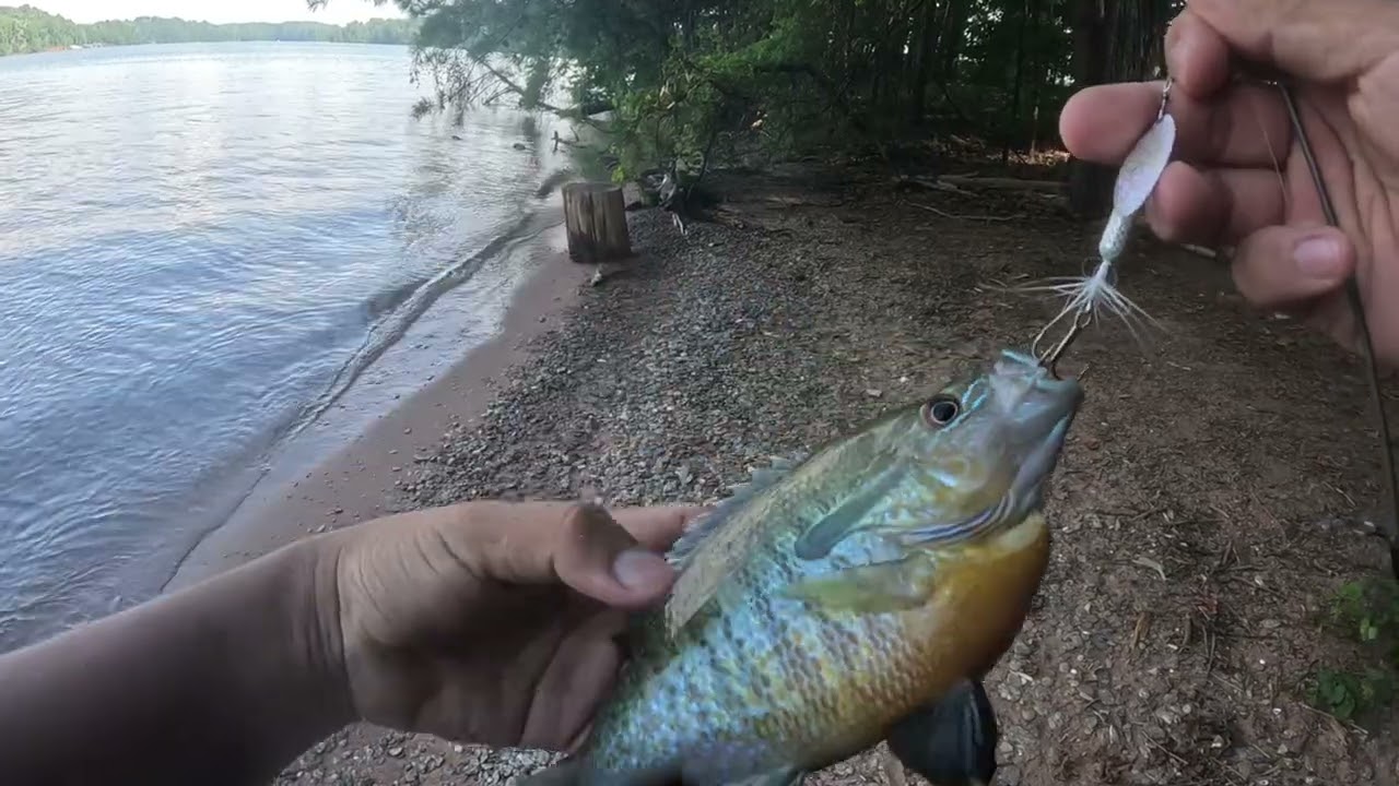 Fishing - My Biggest Blue Gill