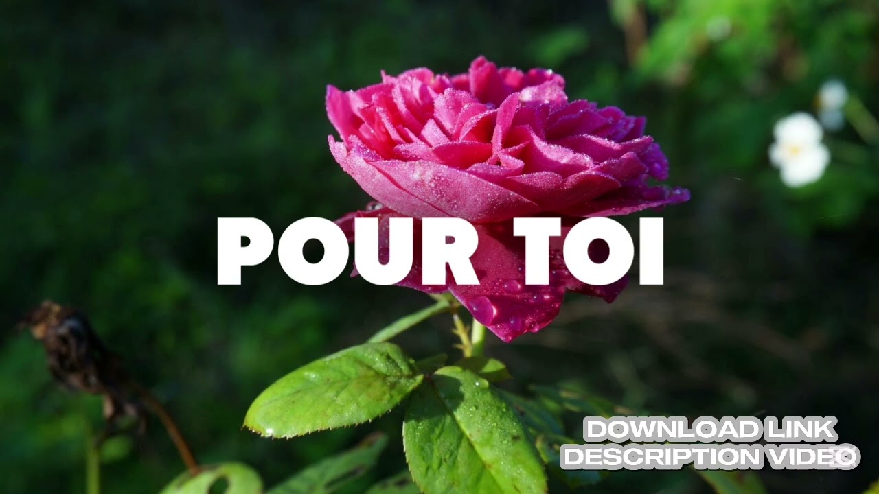 Afro beat love instrumental 