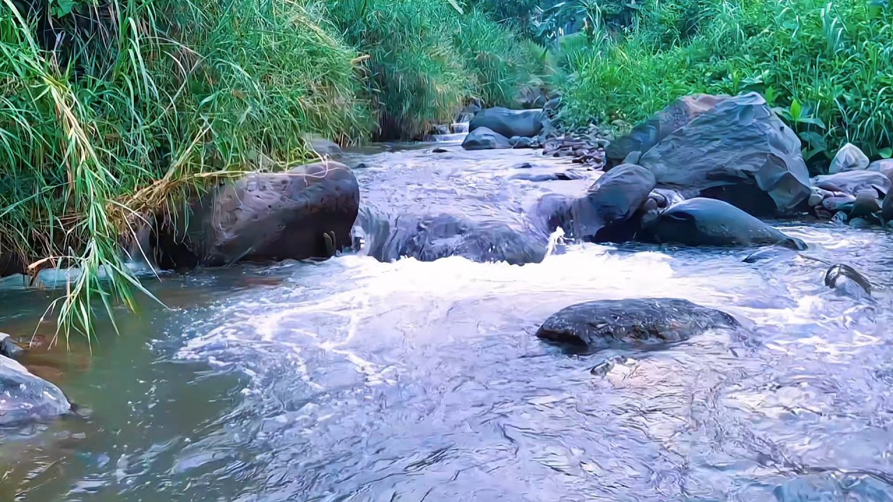 Calm River Flow for Mental Peace