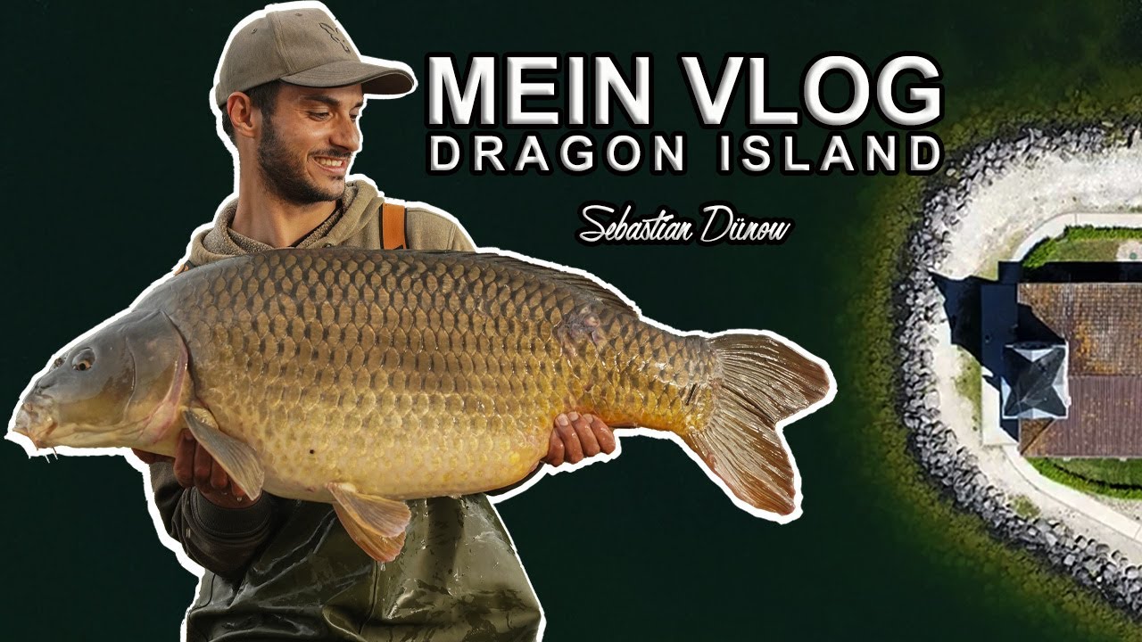 Mein VLog - DRAGON ISLAND 🐋