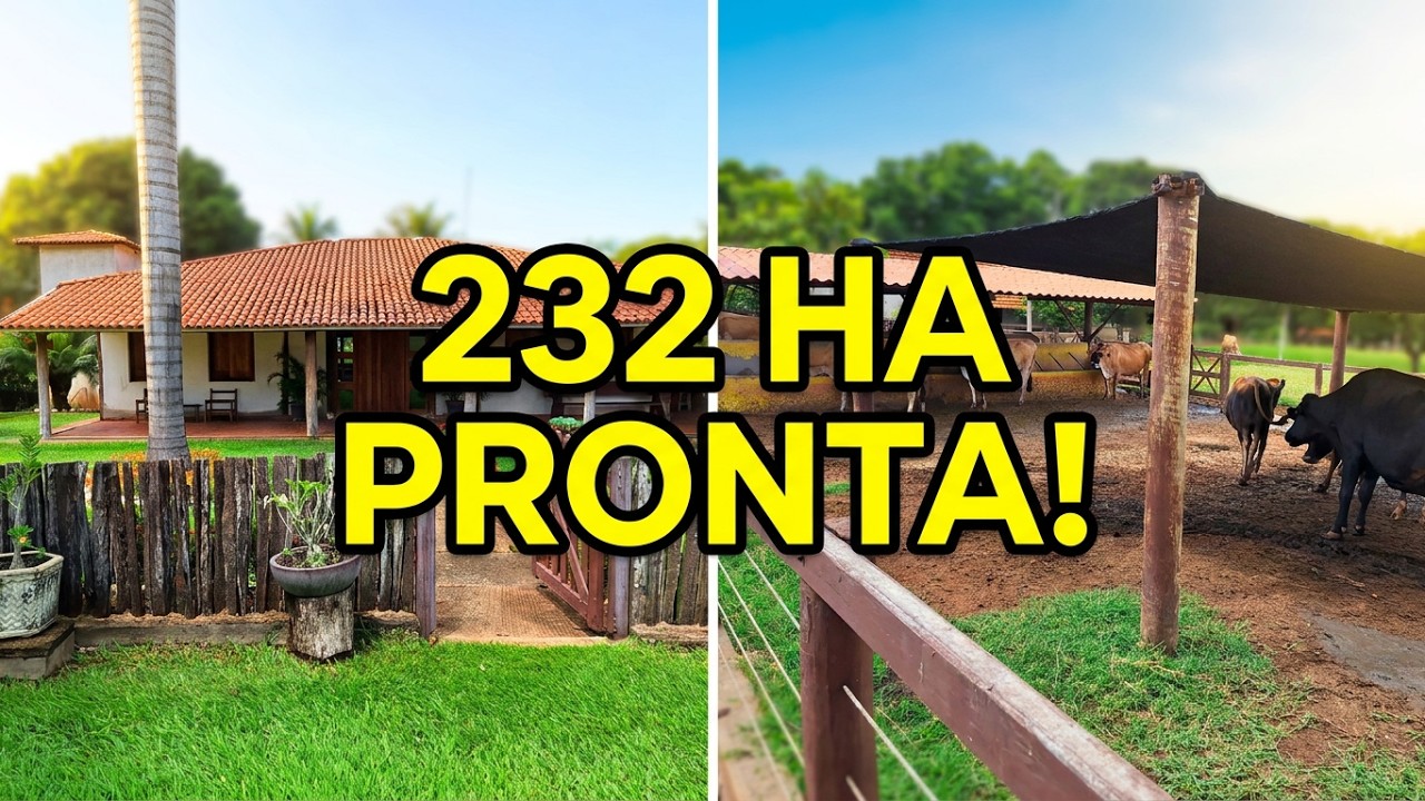 Cód 518    A propriedade que você sempre sonhou.