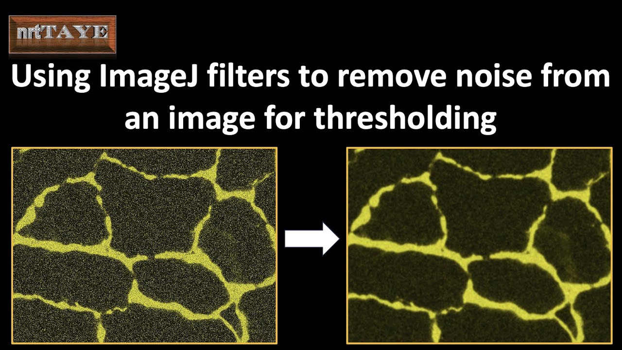 Using ImageJ FILTERS to remove NOISE from an image for thresholding