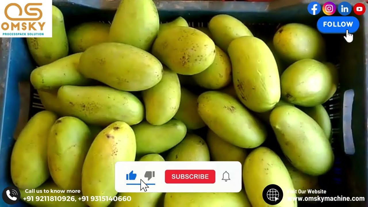 Raw mango cutting machine for pickles