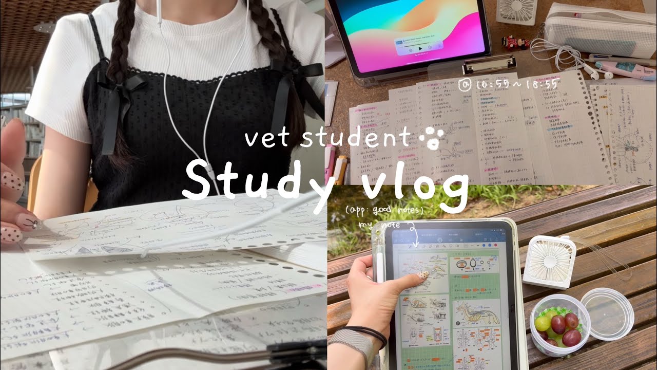 【study vlog】試験に落ちた獣医学生の夏休み。10時間テスト勉強(eng)