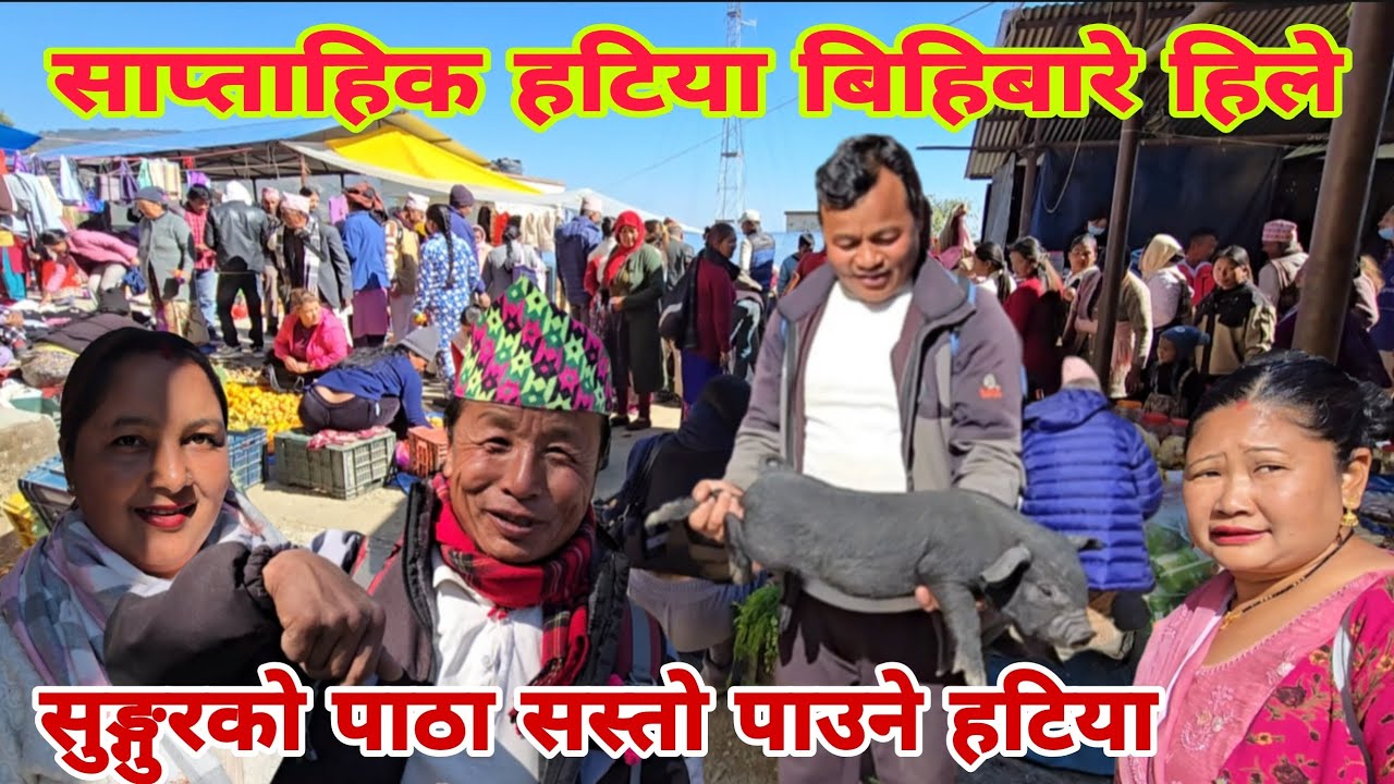 हिले बजारमा साप्ताहिक हटिया बिहिबारे को केही झलक हरु सुङ्गुरको पाठाको मूल्य घट्दो बिक्री हुन गार्हो