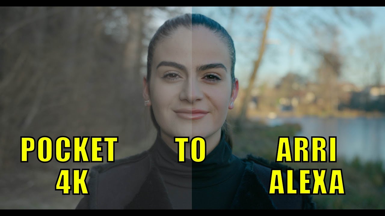 Bmpcc 4k to Arri Alexa Lut