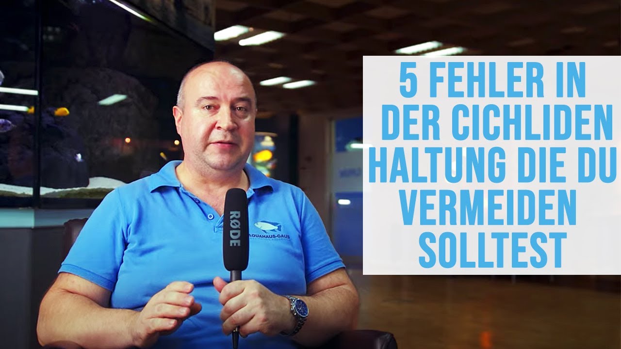 Die 5 größten Fehler bei der Chichliden Haltung 🐠 | Nikolaj Gaus