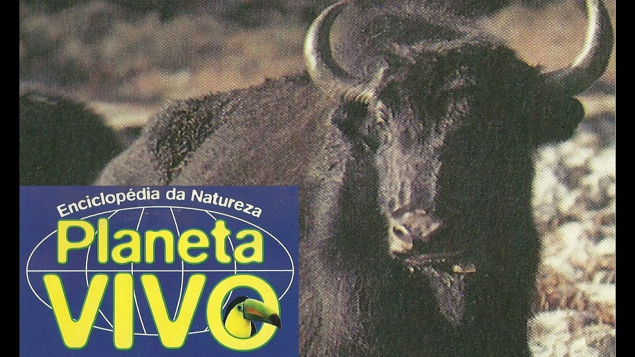Planeta Vivo - As Montanhas Celestiais