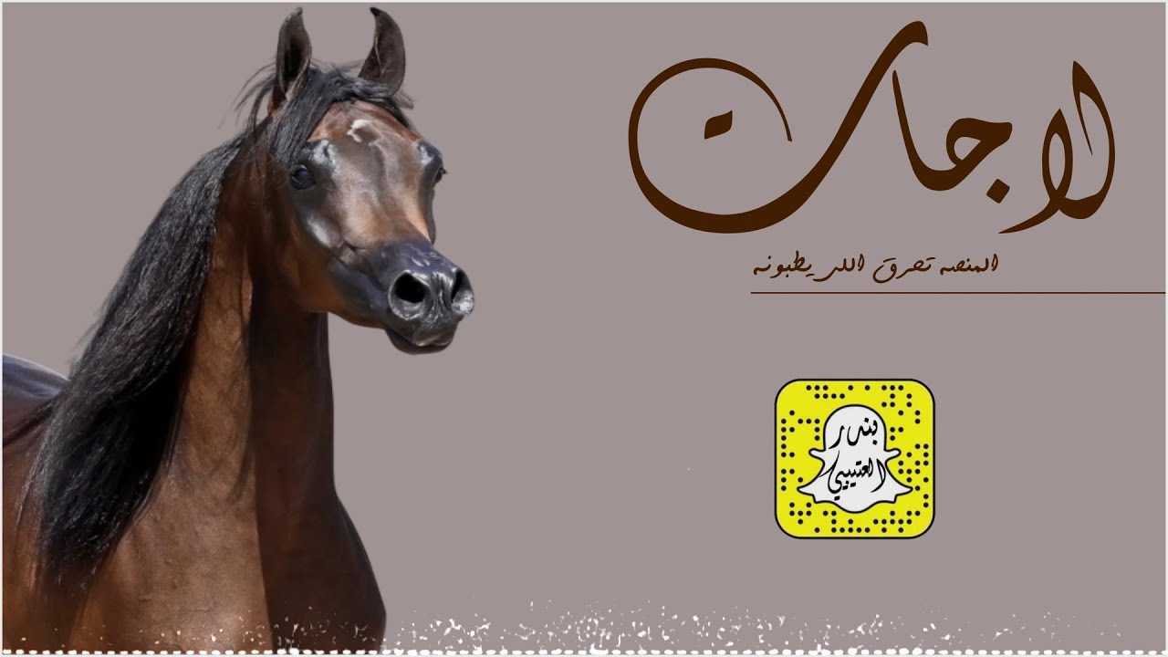 لاجات المنصه تحرق اللي يطبونه - يويل العذارى من غزالن يسمونه اداء سعد محسن 2025 حصرياً