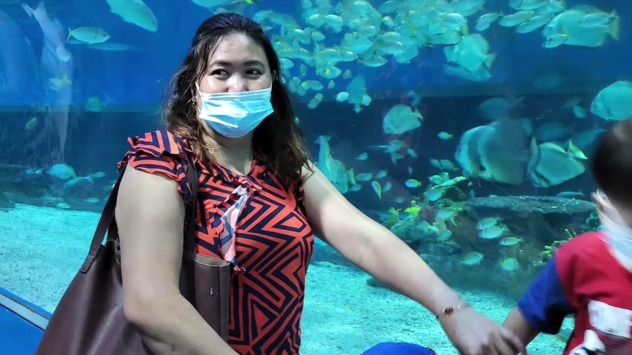 Ocean park 2022-02-26