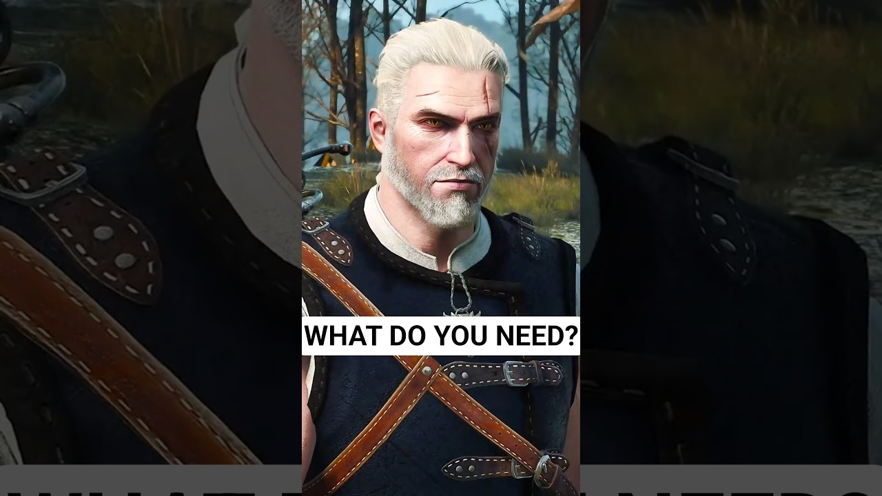 What Do You Need? - The Witcher 3