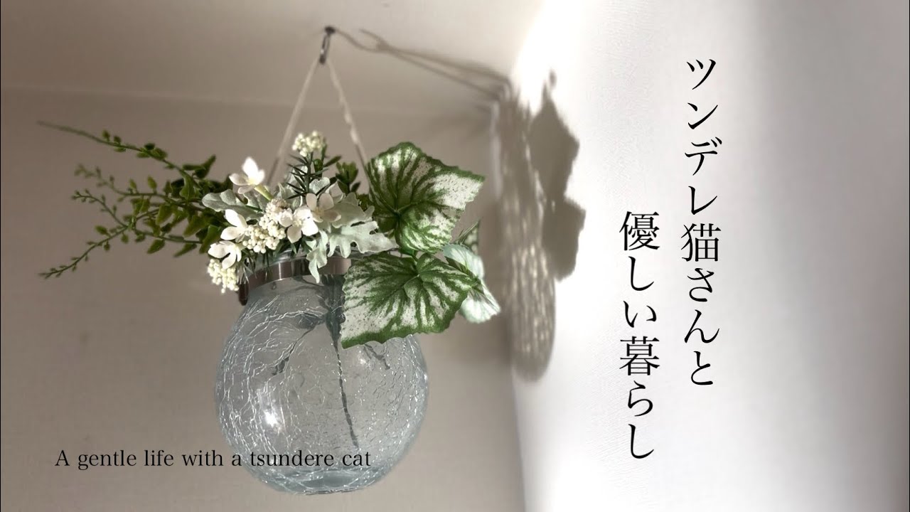 ジョギング中の怪我/ツンデレ猫さんと気持ち良いお掃除/夫へのお疲れ様でした会