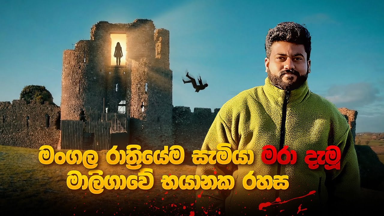 සැමියාට කියා මාලිගාවක් සාදාගෙන මංගල රාත්‍රියේදිම ඝාතනය කරලා🇮🇪😳 #srilankaninireland 