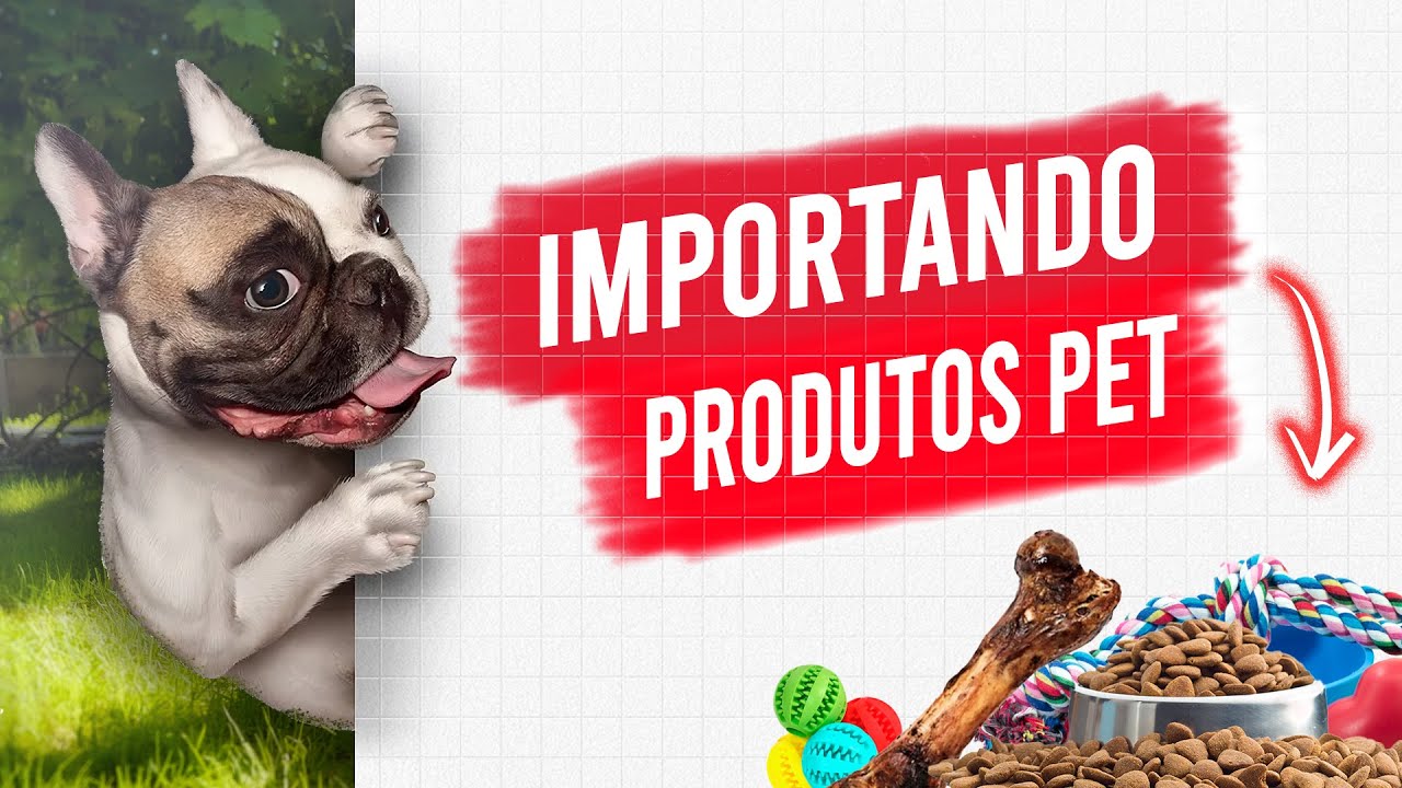 Importa&ccedil;&atilde;o de produtos pet da china - Tudo que a sua empresa precisa saber - Guelcos International