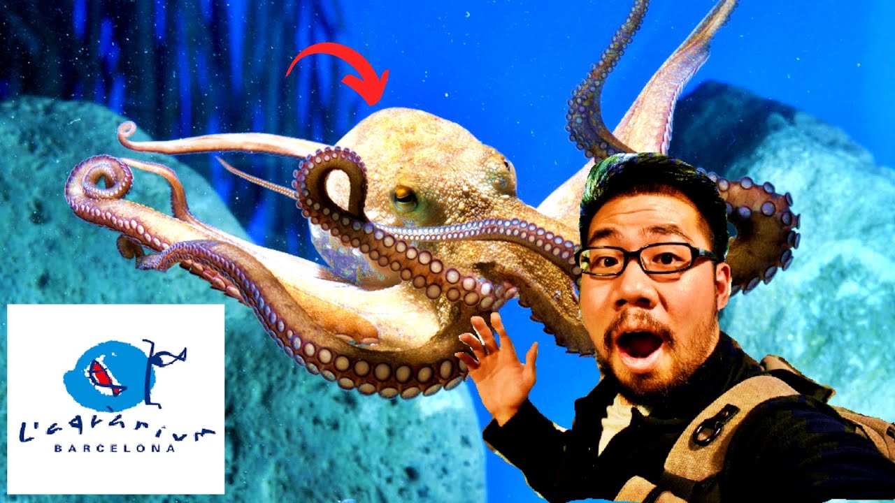 EPIC PUBLIC AQUARIUM TOUR | L'Aquarium de Barcelona