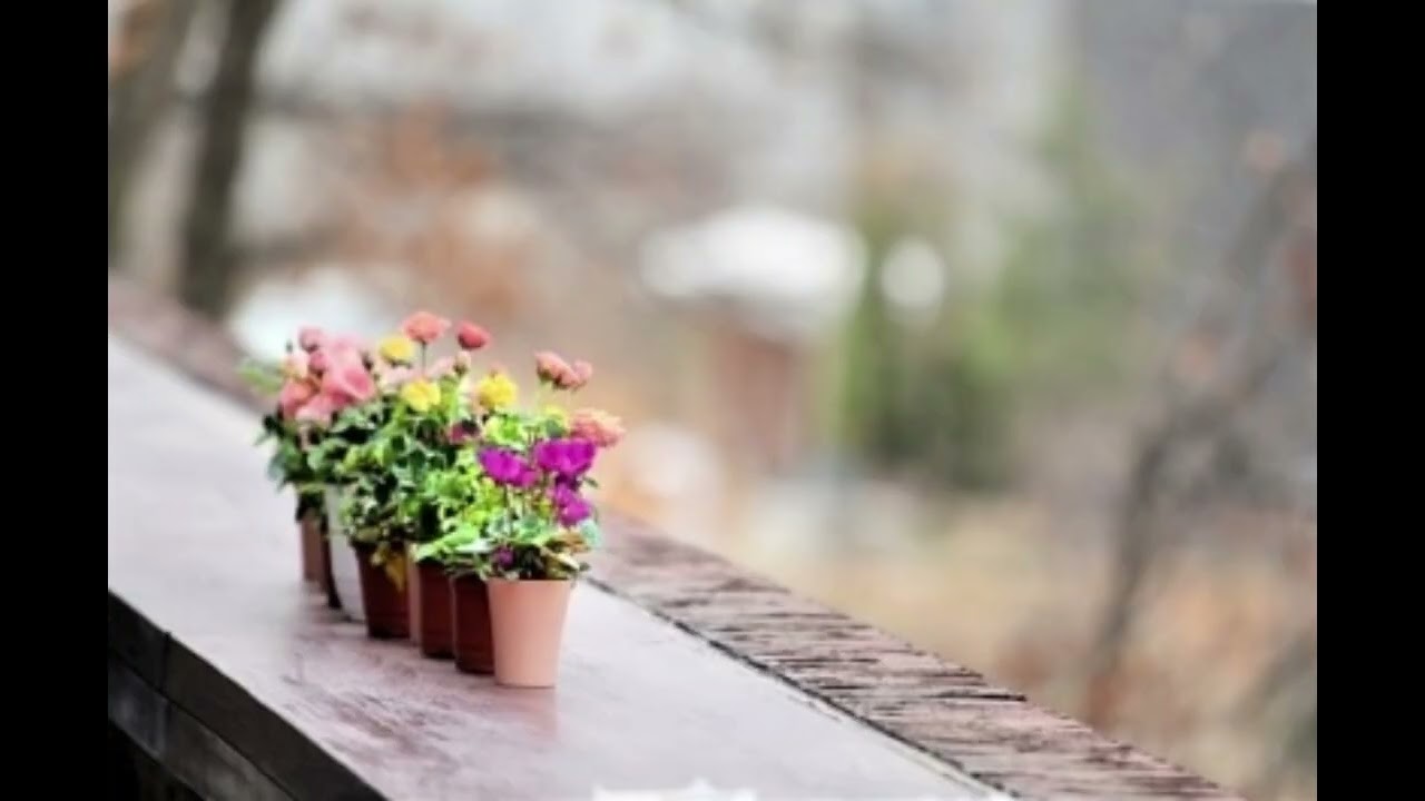 차분하게 하루를 시작해요^^