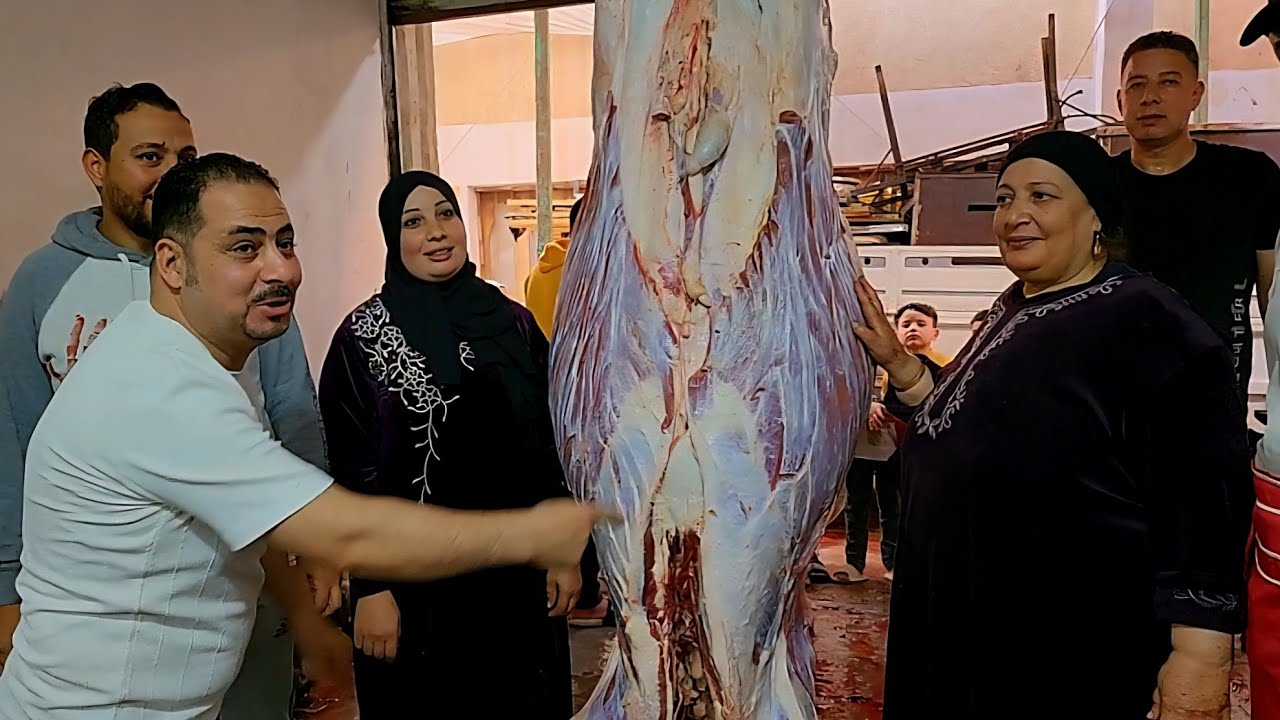 طريقه عمل الكوارع والعكاوي والنخاع طاجن البهاريز المدلع الشيف محمد الجمل 01009220267 🐄👊🤙