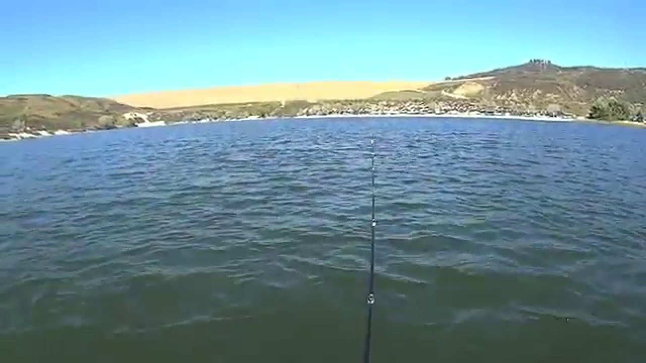 BOBBY LANE FATTY CRAW and 1/4 Oz Shaky Head in 10 Feet off the Channel