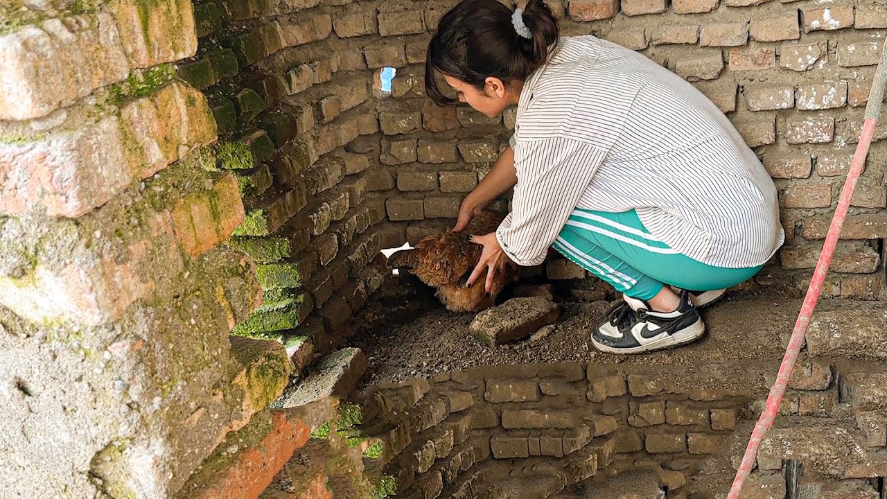 Village life | Morning to evening in the mountain village | Baking Bread