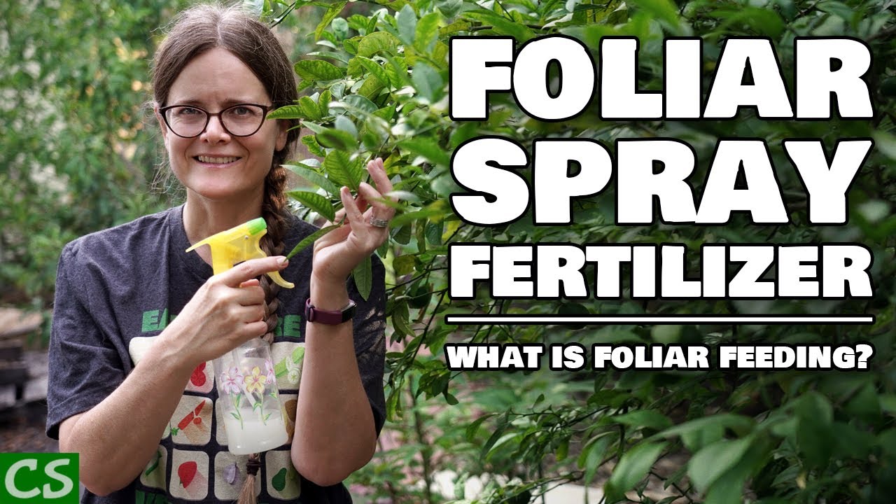 Foliar Spray Fertilizer - What is Foliar Feeding?
