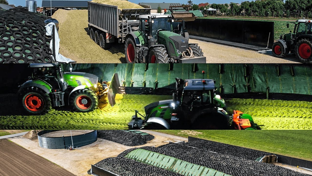 🌽Kukurydza na kiszonke 2023🌽 w GR Sacher-Kierstein 🇵🇱
